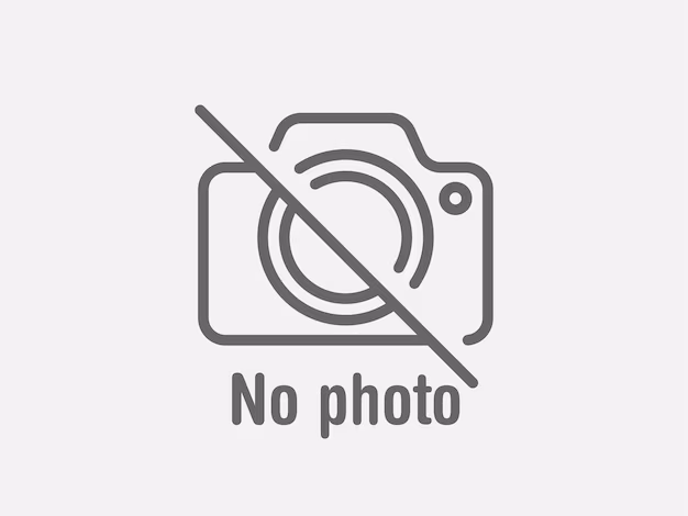 Lõi lọc ( bộ phận của bộ lọc nhiên liệu) #2000021, hãng Bekomat, hàng mới 100%